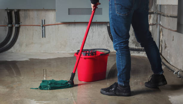 Best Residential water damage restoration  in Ukiah, CA