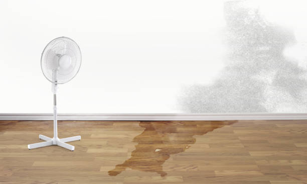 Best 24-hour water damage restoration  in Ukiah, CA