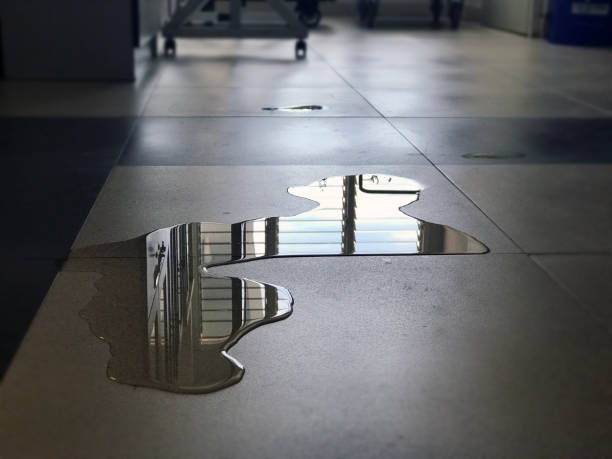 Best Water damage cleanup near me  in Ukiah, CA