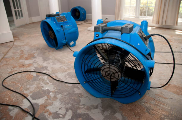 Carpet water damage restoration in Ukiah, CA