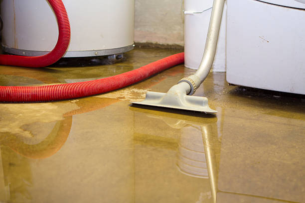 Best Water damage restoration near me  in Ukiah, CA
