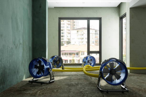 Best Flood restoration services  in Ukiah, CA