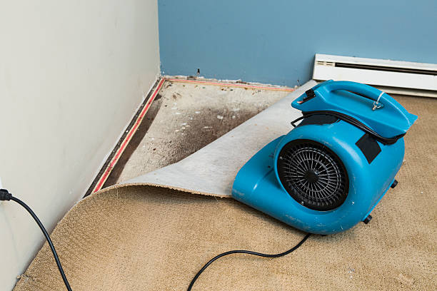 Best Water damage contractors near me  in Ukiah, CA
